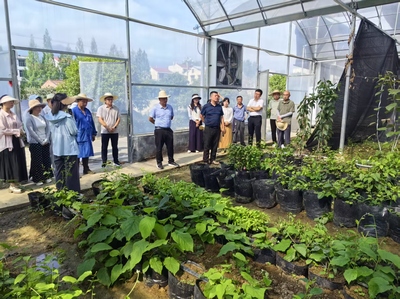 探索農(nóng)友9875 現(xiàn)代種植技術(shù)開發(fā)的動(dòng)態(tài)與前景