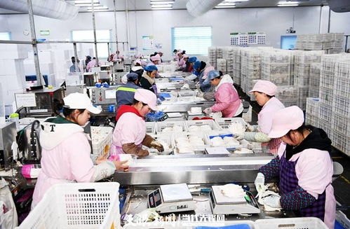 日產(chǎn)量達(dá)70噸，產(chǎn)值60余萬元 工廠化種植食用菌助農(nóng)增收的技術(shù)開發(fā)與實(shí)踐