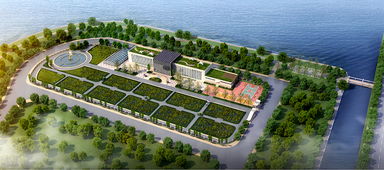 青島海水稻研發中心揭牌，首代稻種預計11月問世，技術開發引領農業新篇章