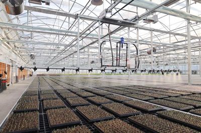 九色油菜花 科技繪就春之斑斕，新質生產力在杭州花田綻放