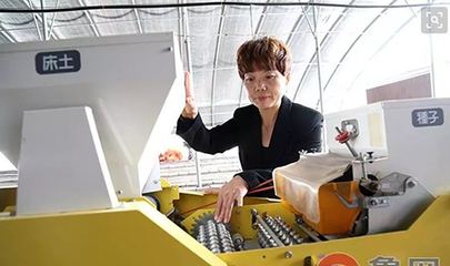 胡紀(jì)芹 根植沃土，以技術(shù)綻放致富夢(mèng)想