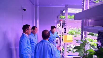 老洪劃重點(diǎn) 植物工廠——種植技術(shù)開發(fā)帶來的未來農(nóng)業(yè)革命